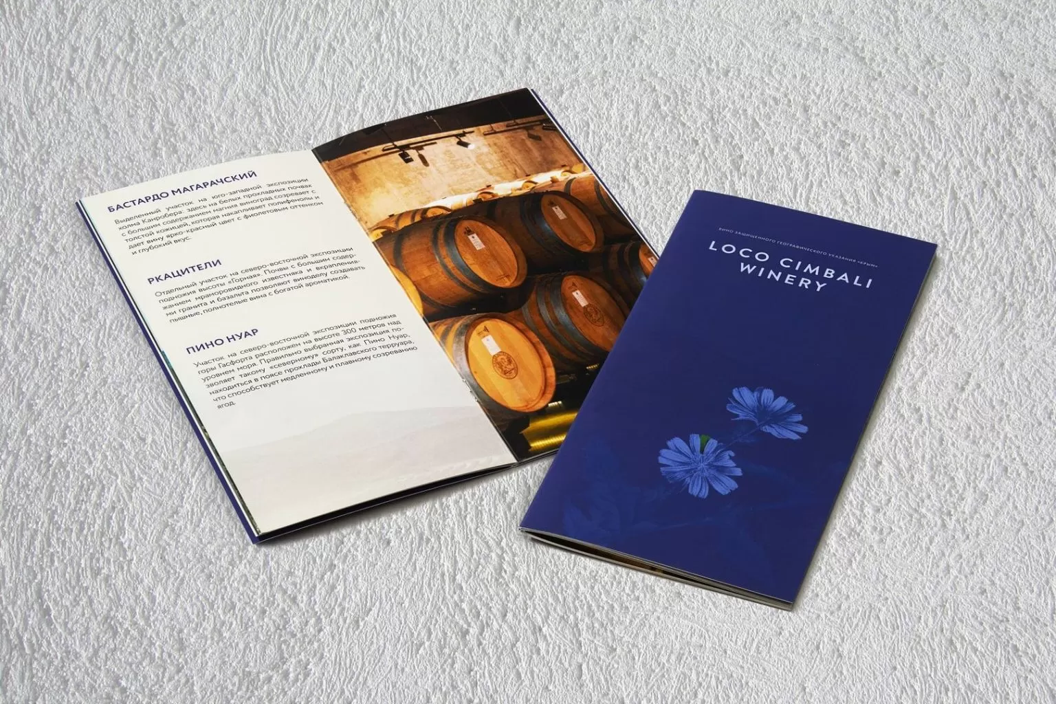 Печать брошюр в Москве